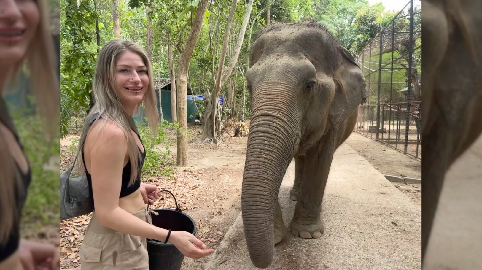 Cecelia Sommer In Travels